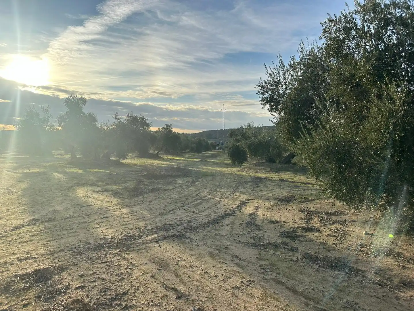 Grundstücke zum Verkauf in Andújar