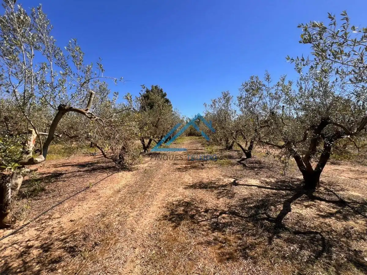 Land for sale in Vinyols i els Arcs