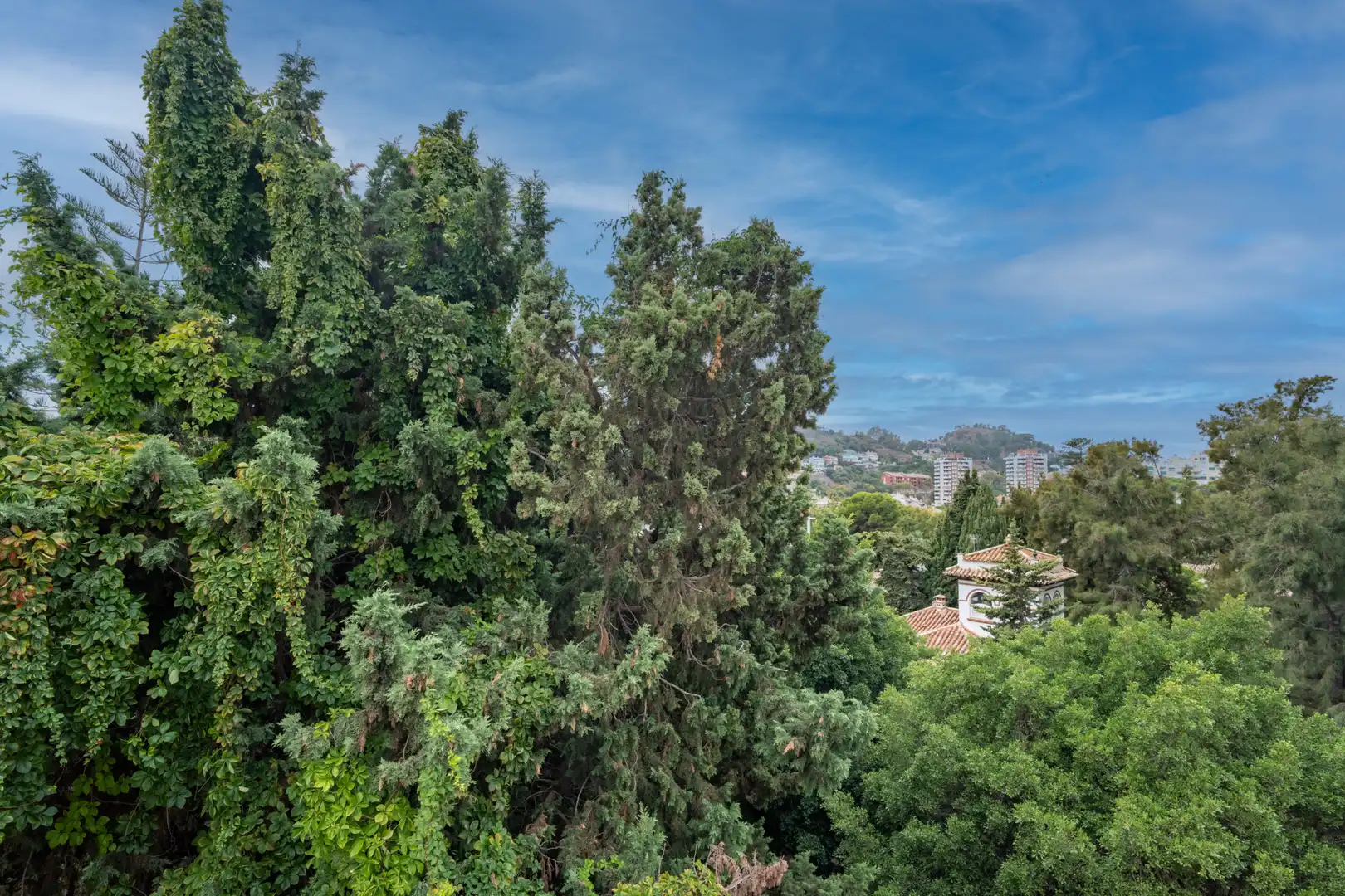 Apartment mit Aufzug zum Verkauf in Este, imagen 7