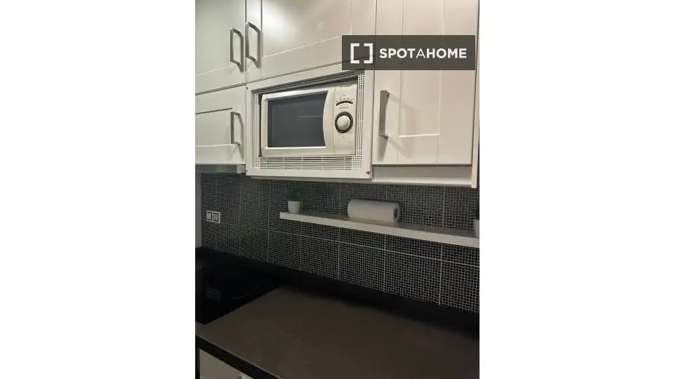 Cuina de Apartament per a compartir en Barcelona amb Aire condicionat, Calefacció i Terrassa