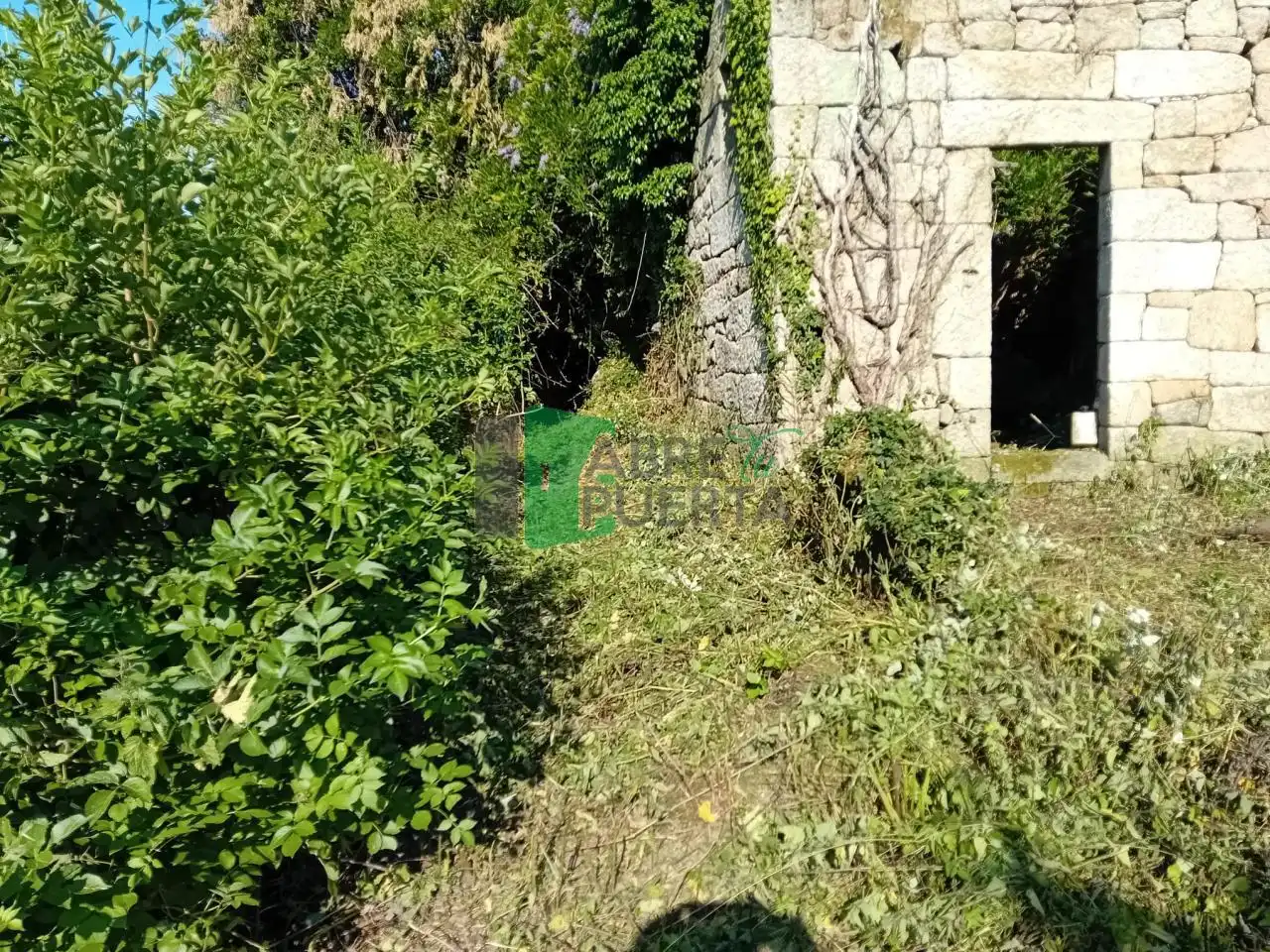 Haus mit Garten zum Verkauf in Coles, imagen 3