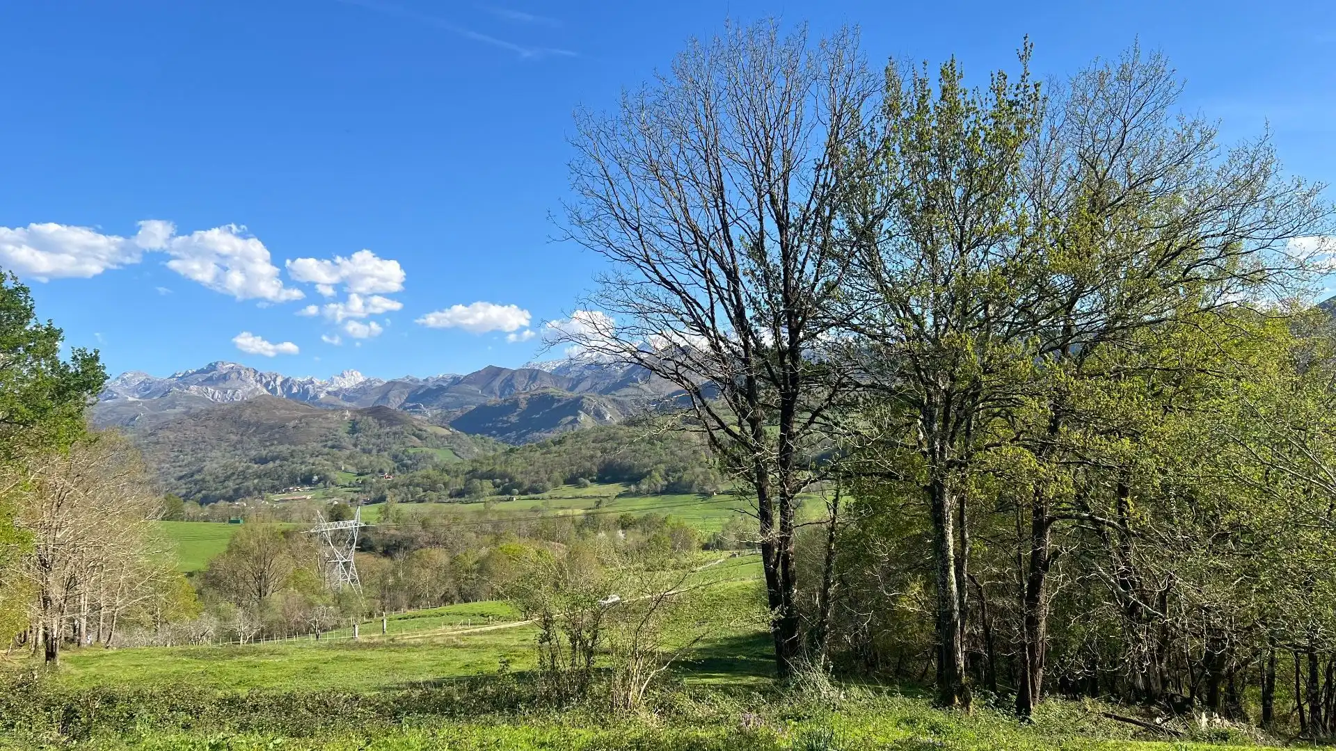 Terreni e lotti in vendita a Cangas de Onís, imagen 14