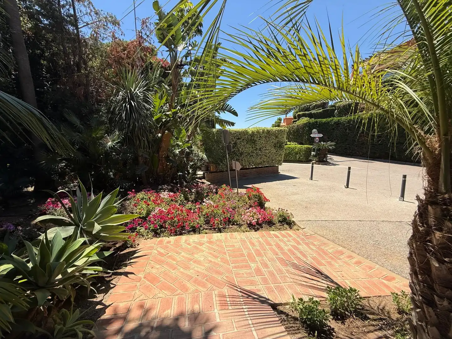 Exterior view of Ground floor for rent in Estepona  with Private garden, Terrace and Swimming Pool