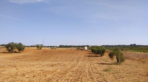 Foto 3 de Residencial en venta en Villarrasa, Huelva