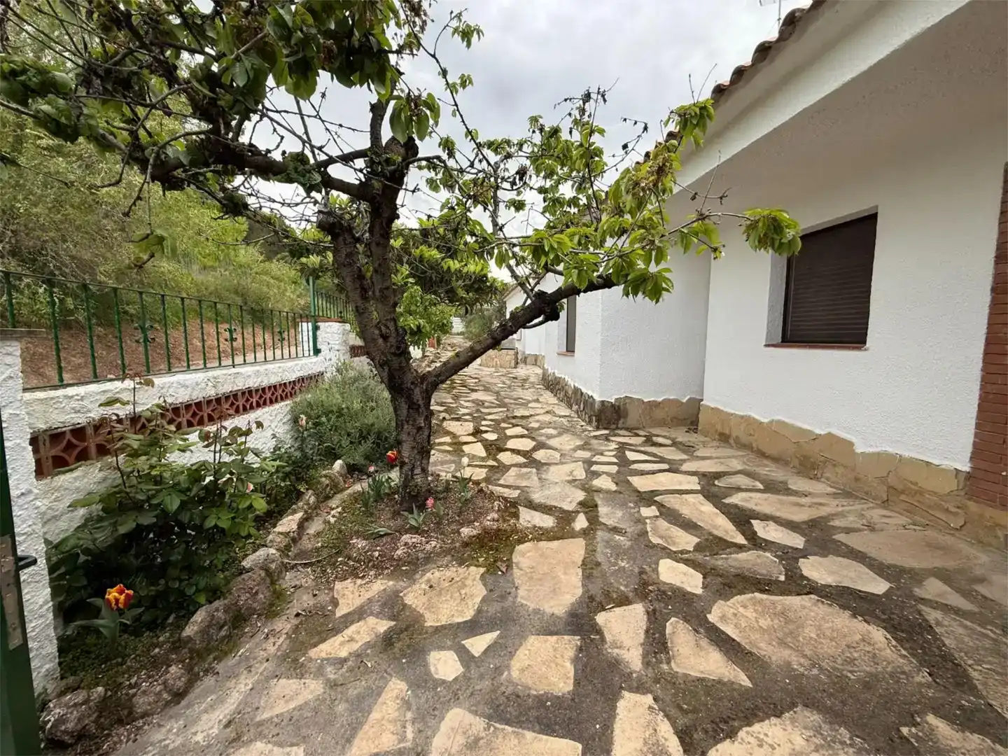 Vista exterior de Pis de lloguer en Aiguamúrcia amb Jardí privat, Traster i Piscina