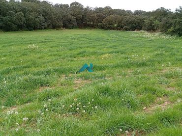 Terreno residenziale in vendita a Castelló de Farfanya