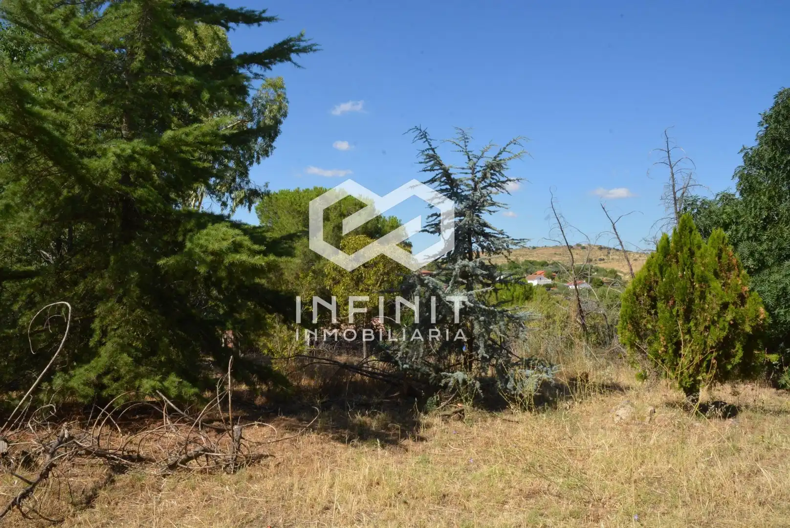 Casa o chalet en venta en Ribatejada