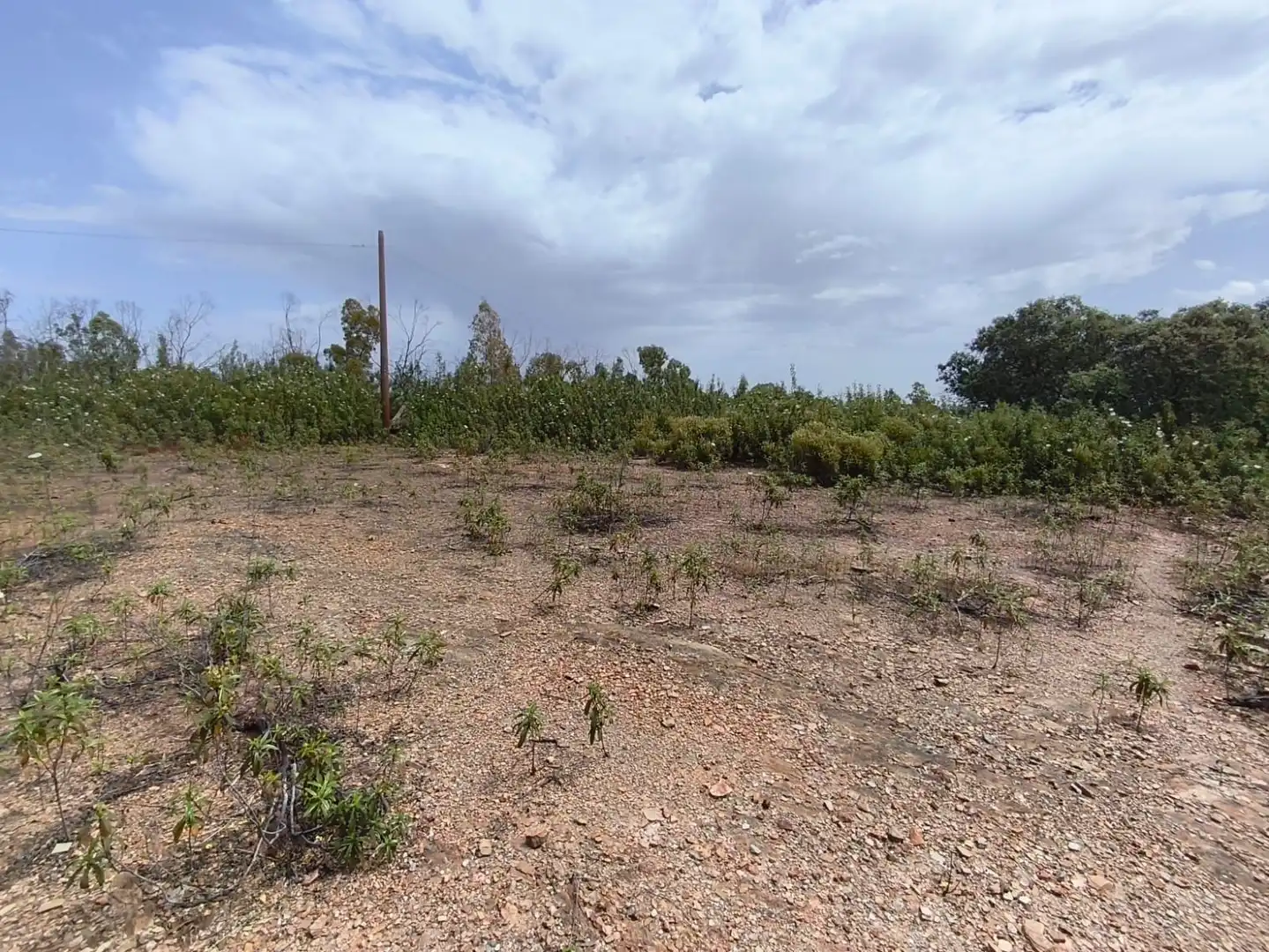 Rural land for sale in Los Lagos, imagen 5