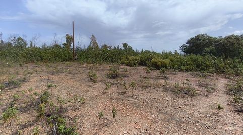 Foto 5 de Residencial en venta en Los Lagos, Guillena