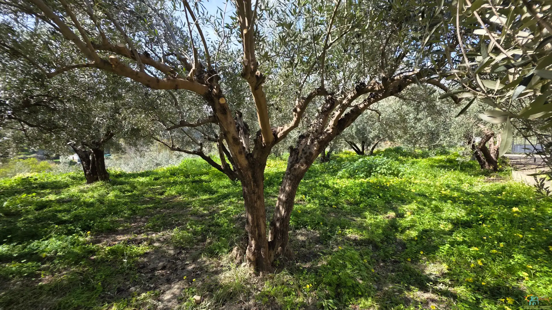 Jardí de Finca rústica en venda en Canjáyar amb Moblat