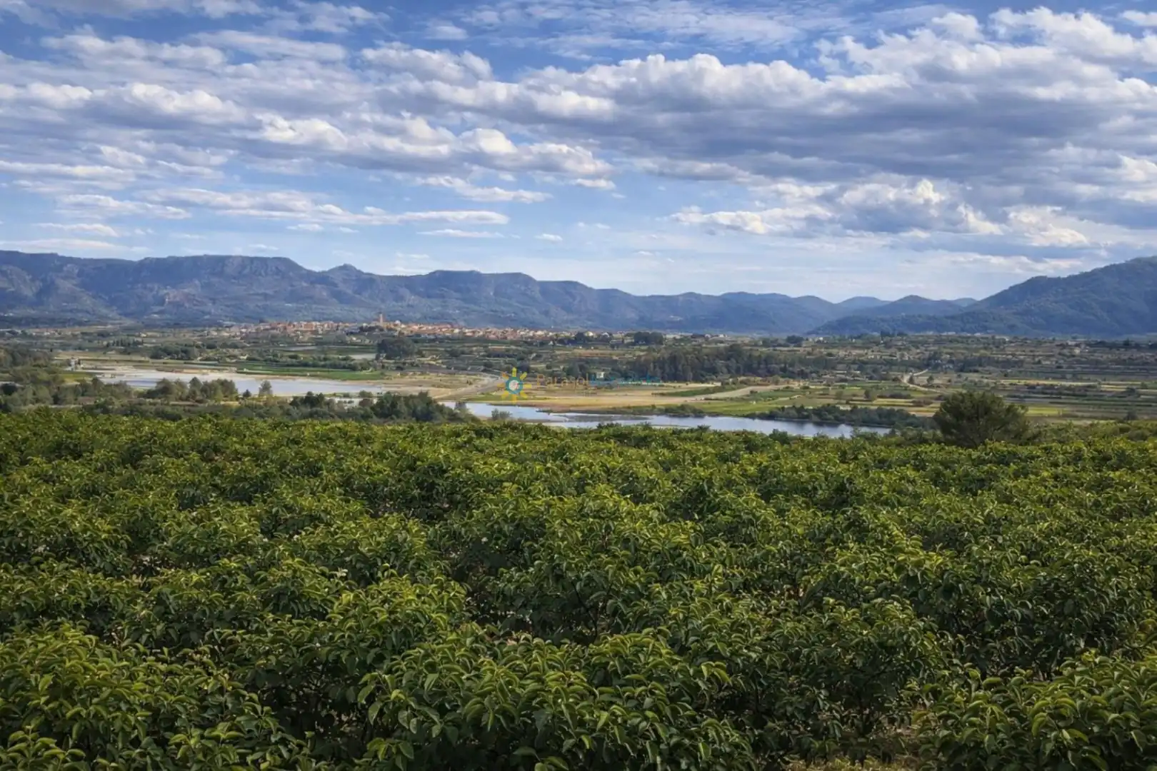 Finca rústica en venda en Benigànim amb Traster