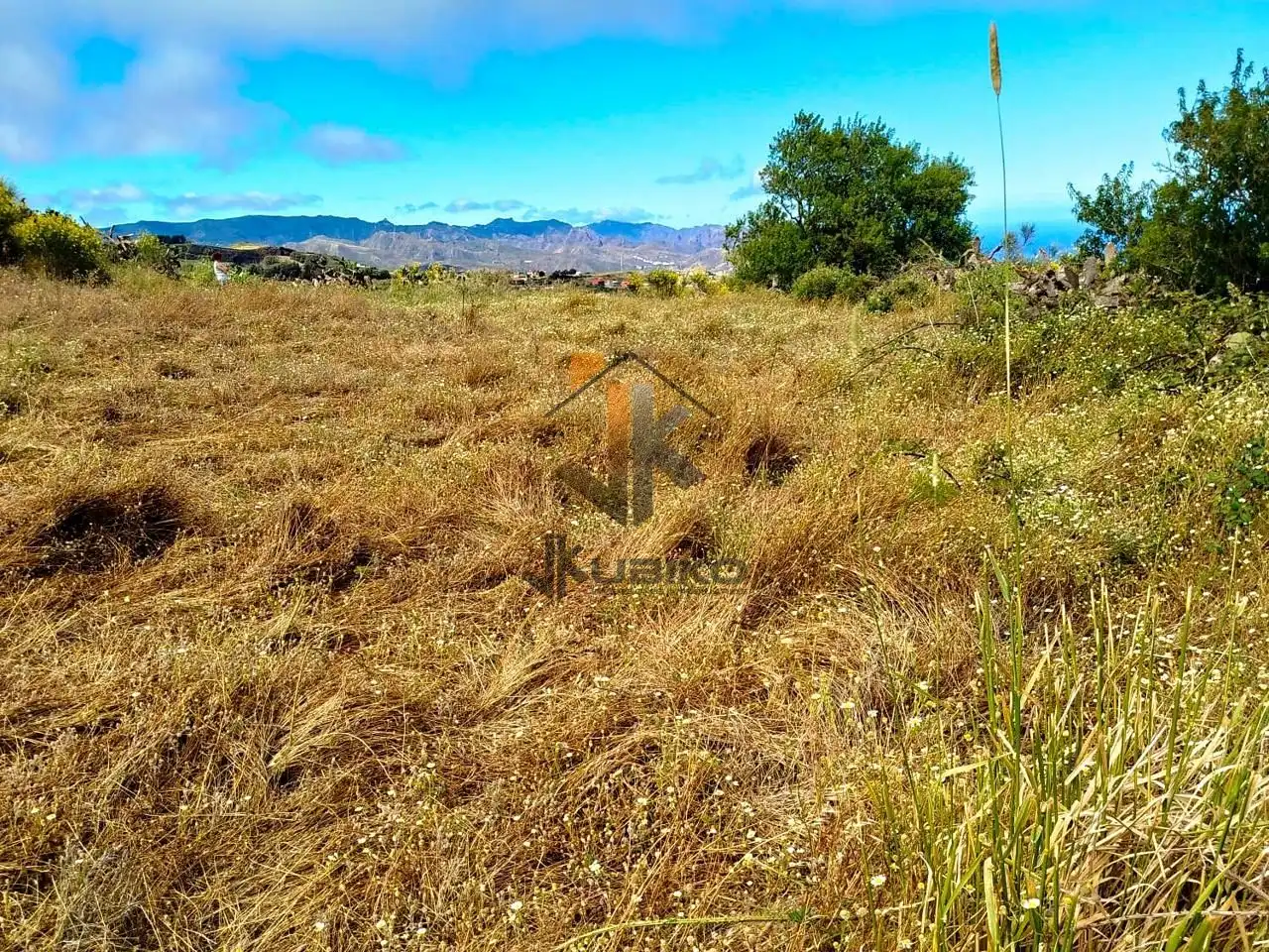 Land for sale in El Rosario