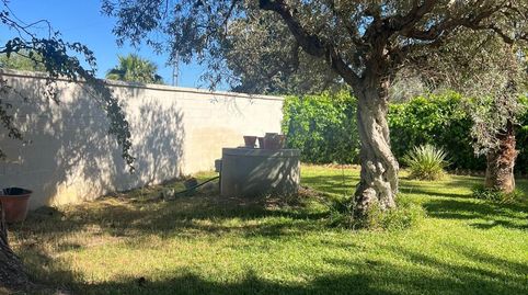 Photo 5 of Houses for sale in Pedanías Norte, Utrera