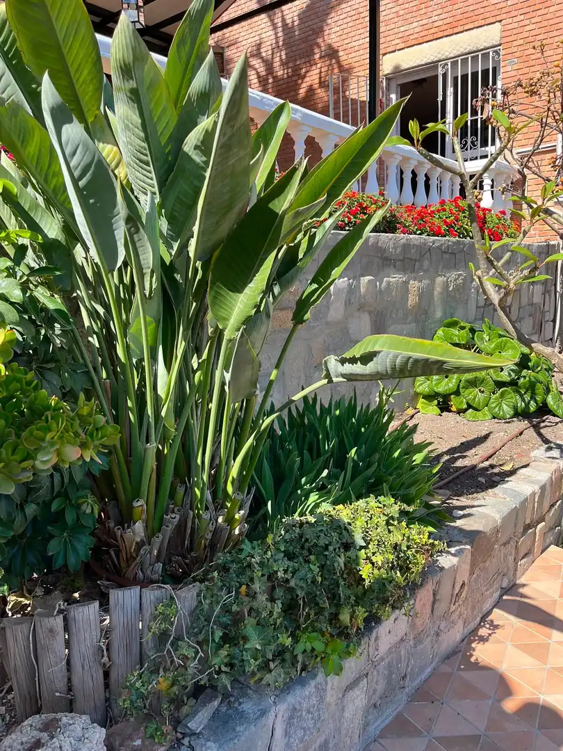 Vista exterior de Casa o chalet de alquiler en Málaga con Aire acondicionado, Jardín privado y Terraza
