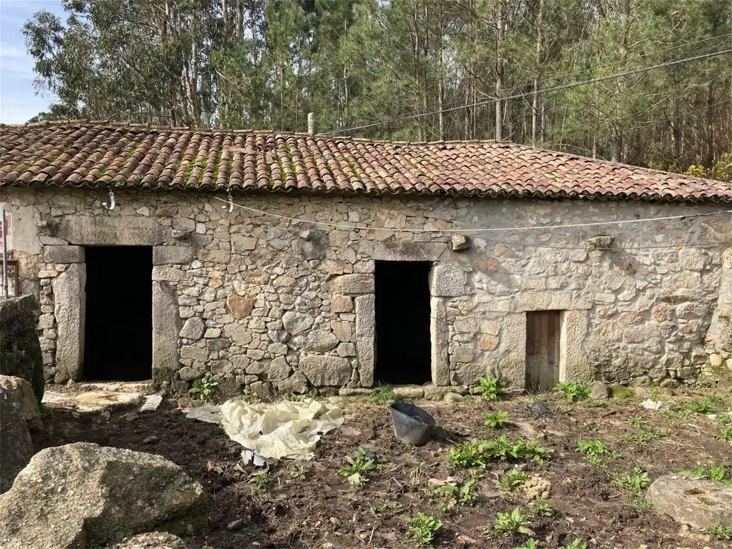 Vista exterior de Finca rústica en venda en Tomiño