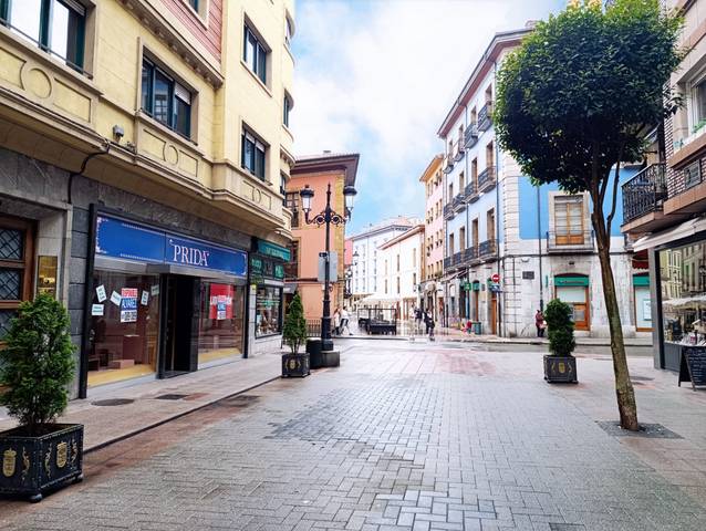 Local comercial en Alquiler en Oviedo - SUAREZ DE LA RIVA en Parque San Francisco - Uría