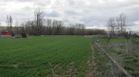 Foto 2 de Finca rústica en venda a Allendeduero, Burgos