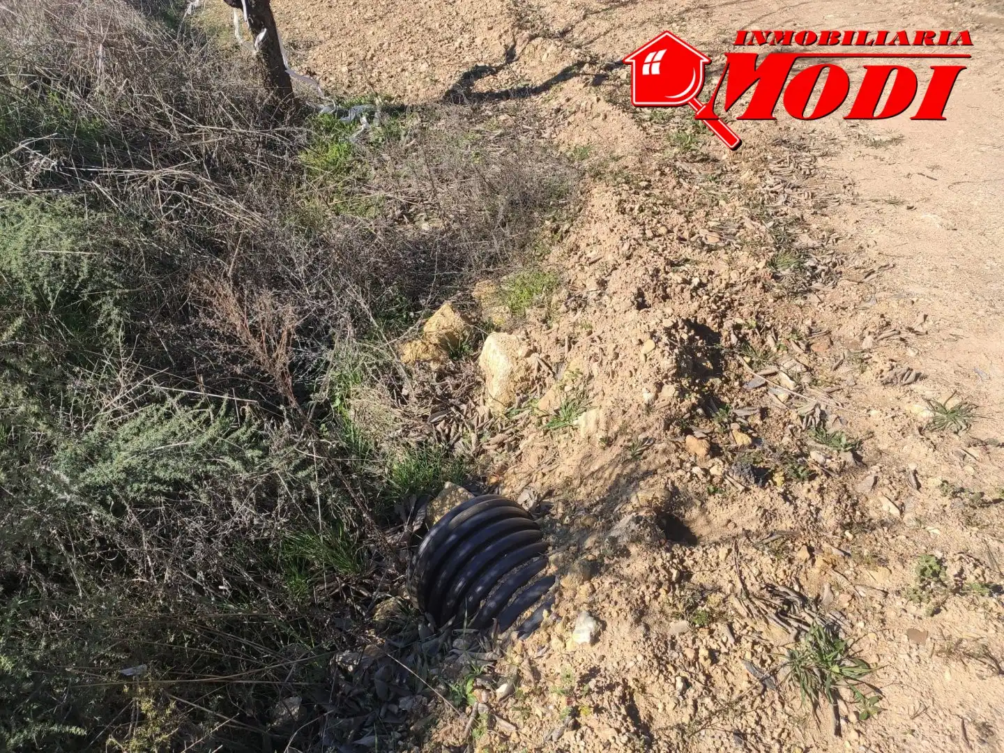Terrenys i solars en venda a Villamena, imagen 19