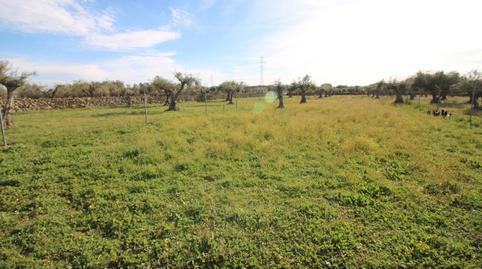 Foto 4 de Finca rústica en venda a Calle Los Molinos, 13, Torremocha, Cáceres