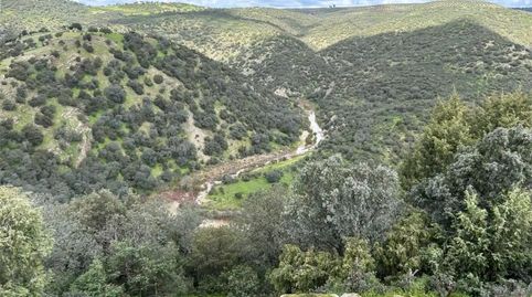 Foto 5 de Finca rústica en venda a Camino del Caracol, Santisteban del Puerto, Jaén
