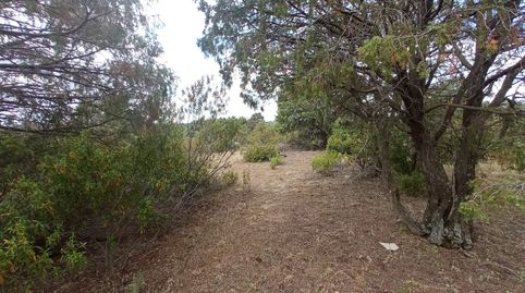 FINCA RUSTICA PARCIALMENTE PROTEGIDA . PRINCIPALMENTE MONTE. PARA CAZA, imatge 3