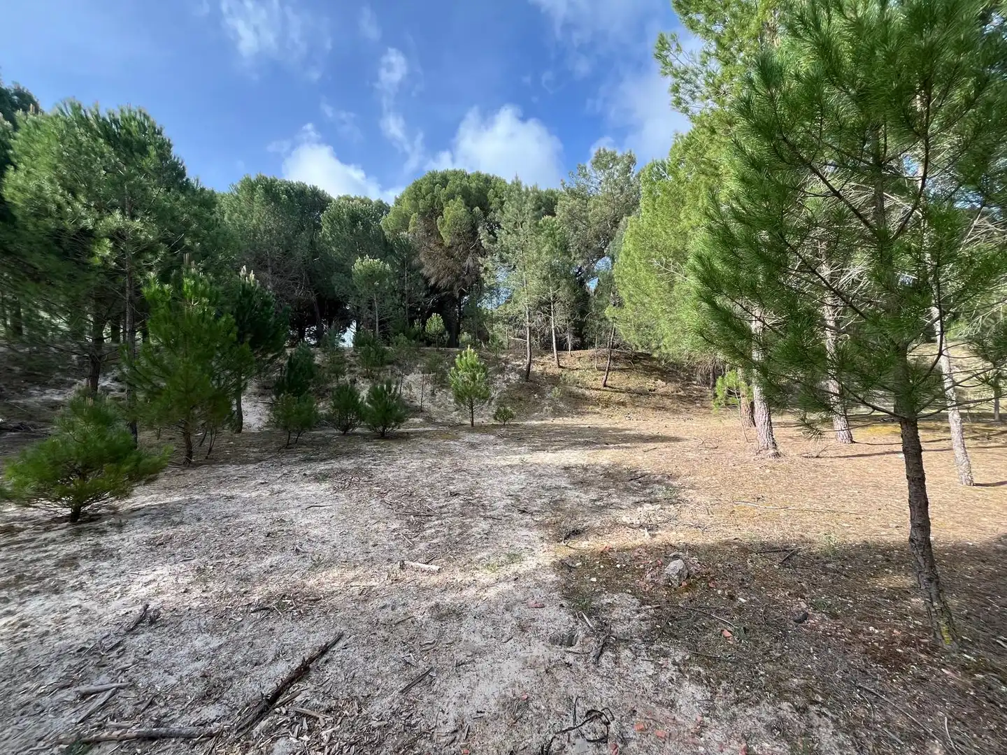 Terreno en venta en Tudela de Duero