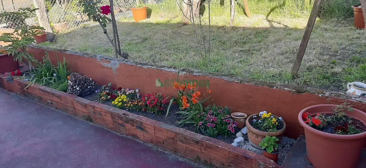 Maison avec jardin à vendre à Centro Urbano, imagen 23