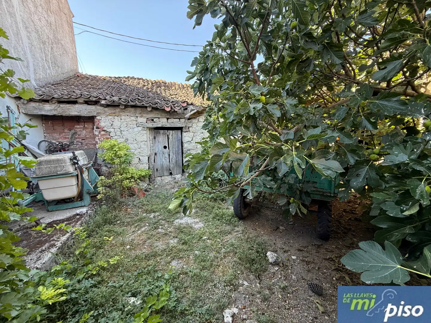 Jardí de Casa o xalet en venda en Camporredondo amb Jardí privat, Parquet i Terrassa