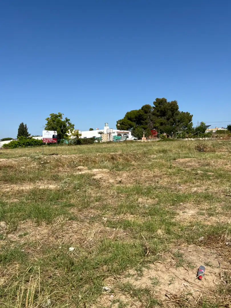 Rural land for sale in Almensilla, imagen 4