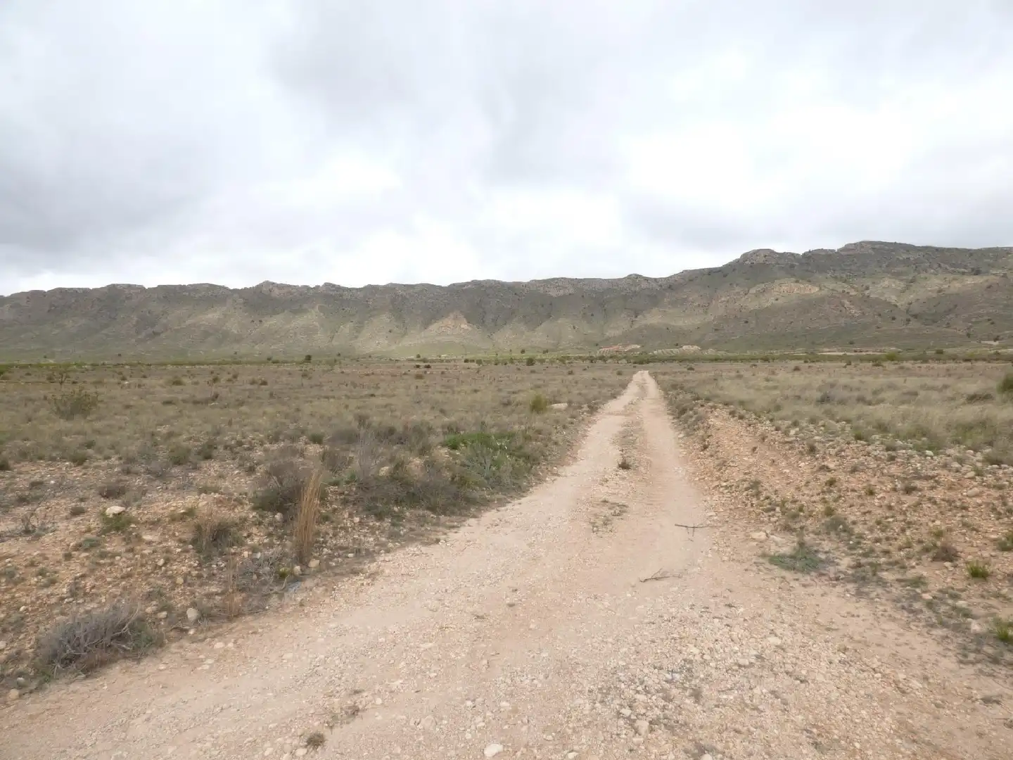 Rustikales Grundstück zum Verkauf in Jumilla, imagen 19