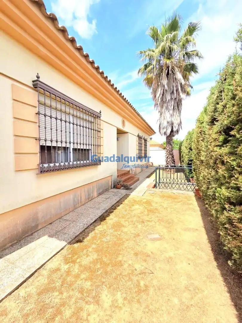 Villa mit Pool zum Verkauf in Olivar de Quintos, imagen 44