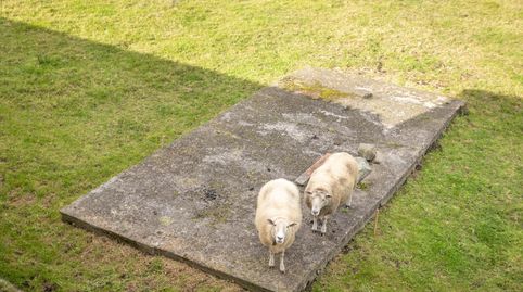 Foto 2 von Residential zum Verkauf in Cudillero, Asturias