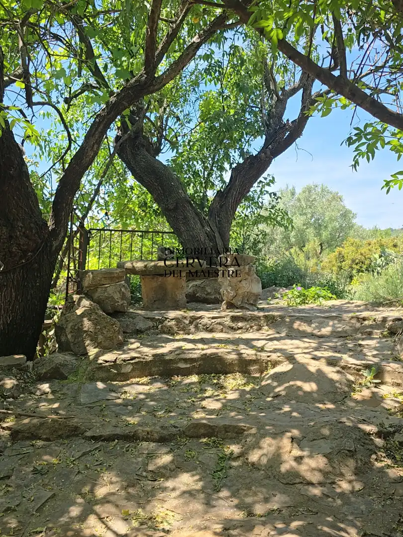 Garden of Houses for sale in La Torre d'en Besora
