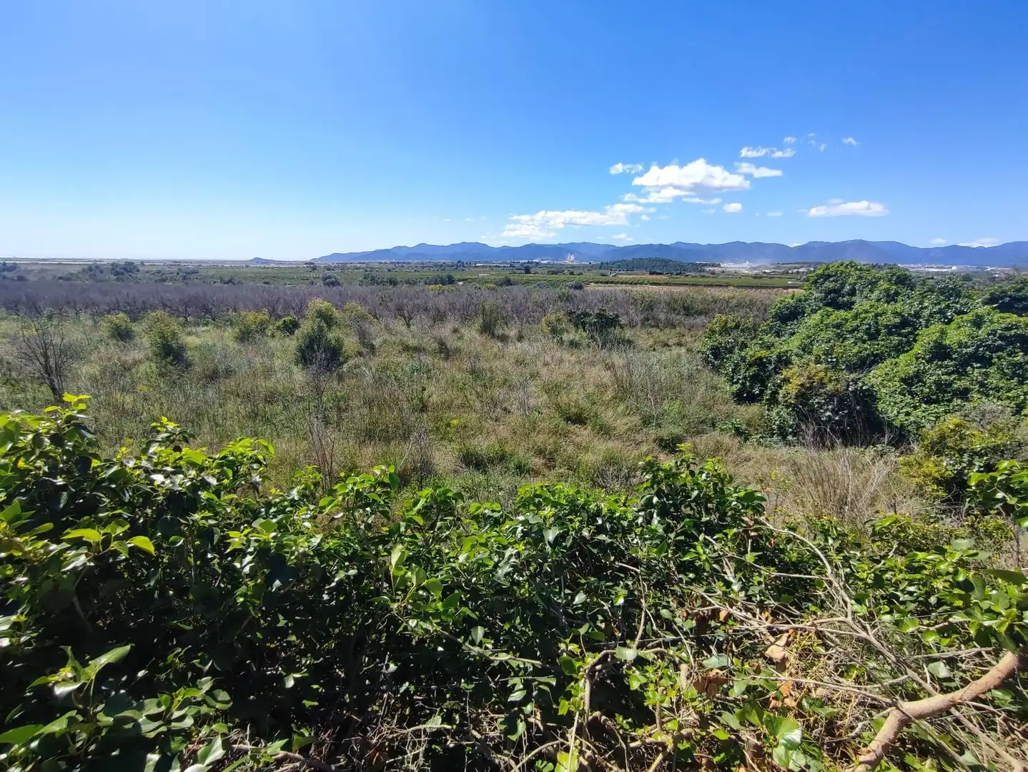 Rural land for sale in Onda, imagen 3