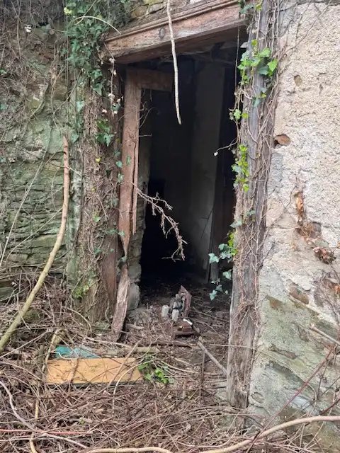 Finca rústica en venta en Castropol