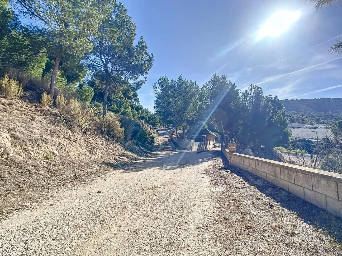 Vista exterior de Finca rústica en venta en Tibi con Jardín privado, Terraza y Trastero