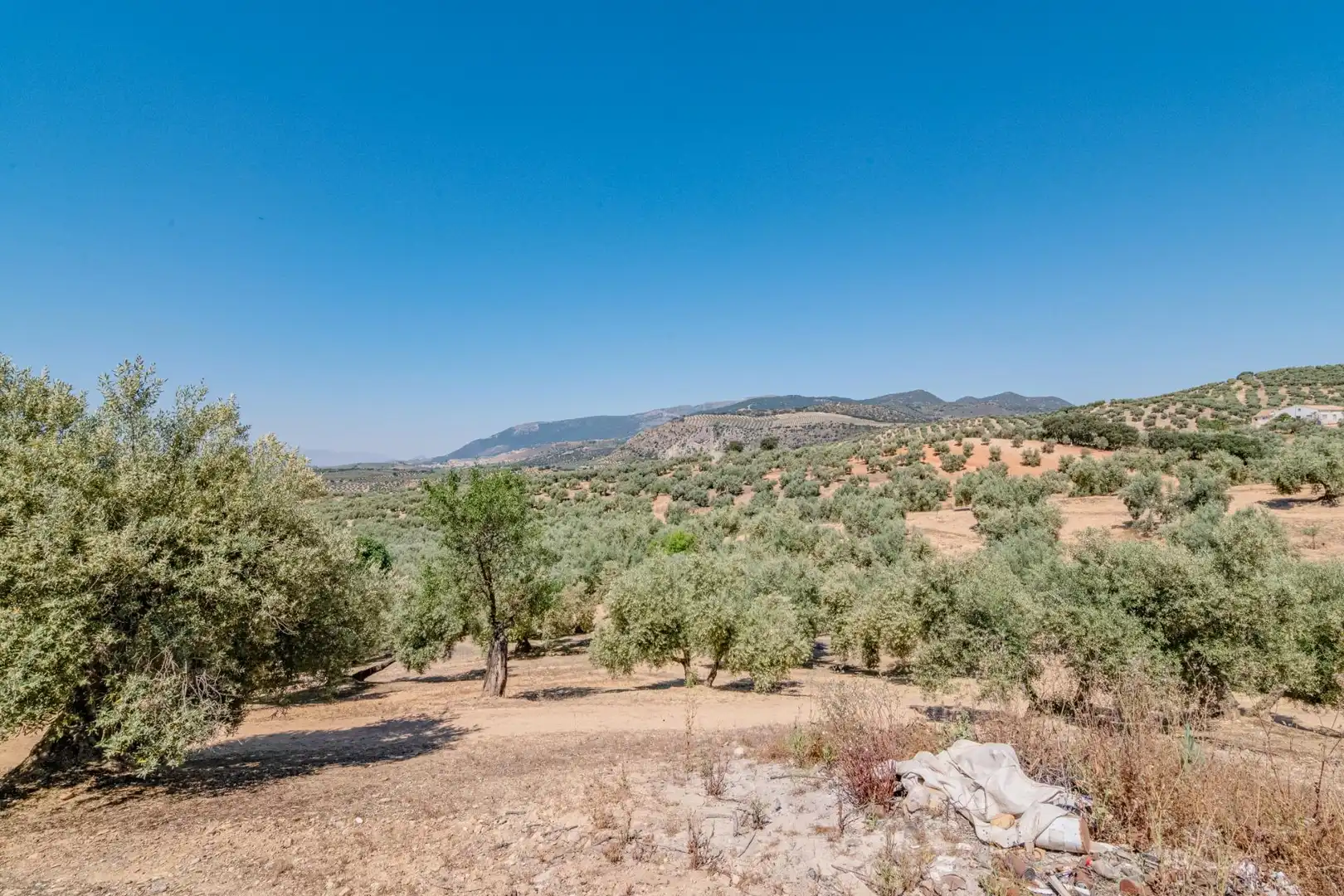 Finca rústica en venta en Íllora con Terraza y Trastero