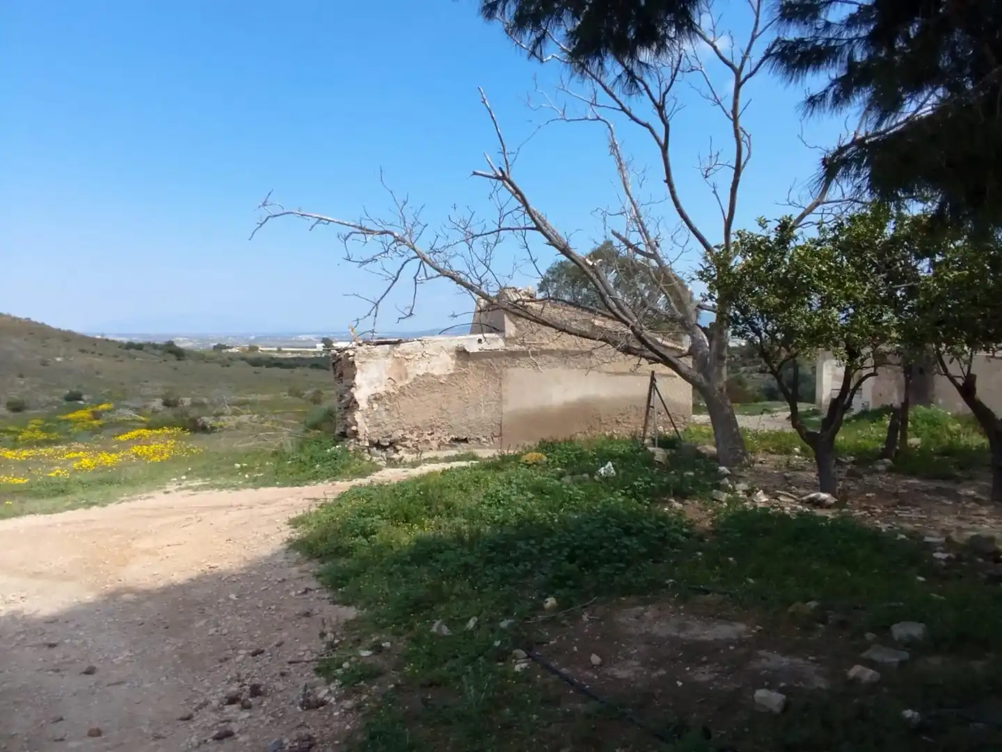 Finca rústica en venta en Mazarrón