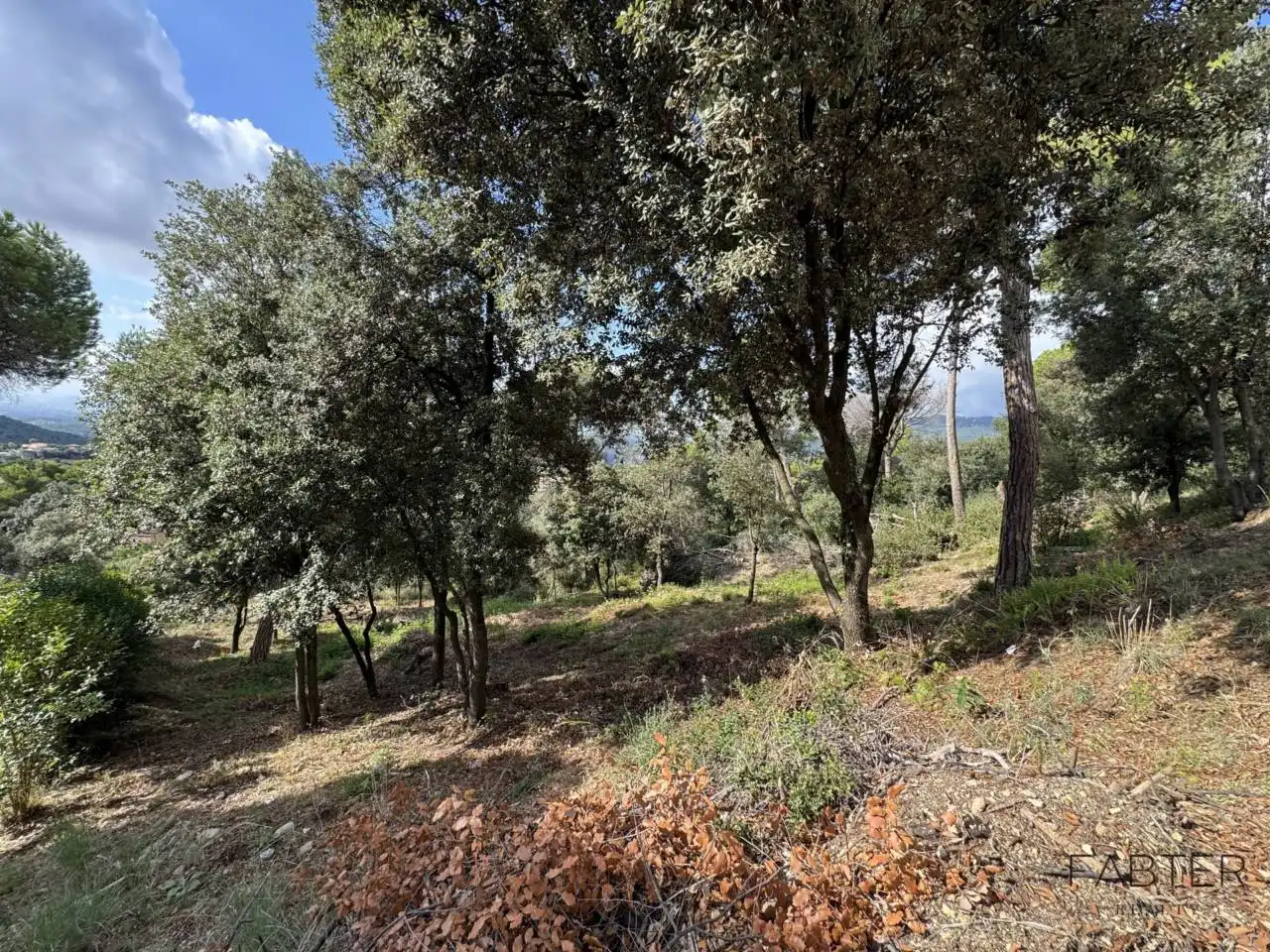 Rustikales Grundstück zum Verkauf in Avenida Castell de Montbui, imagen 3