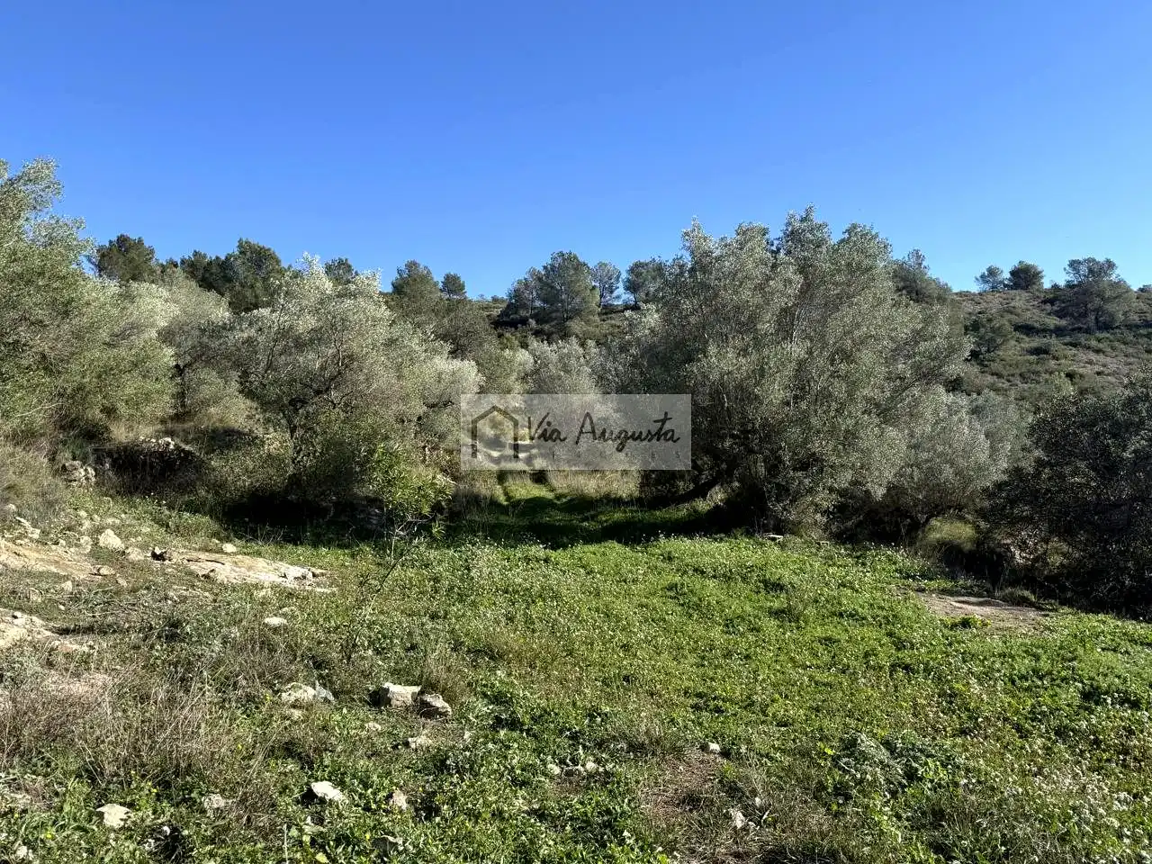 Terreno rustico in vendita a Bassa d'en Baró, imagen 30