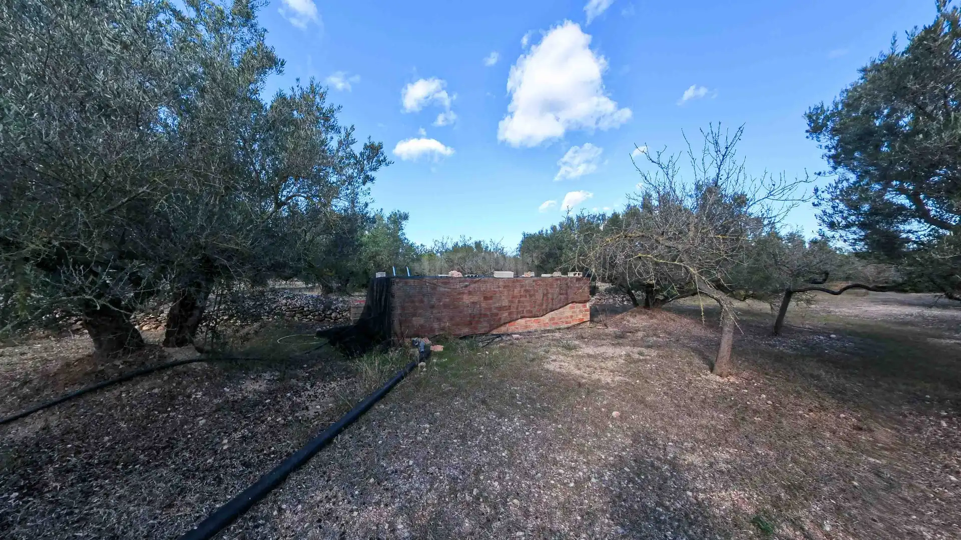 Landhaus mit Pool zum Verkauf in Roquetes, imagen 26