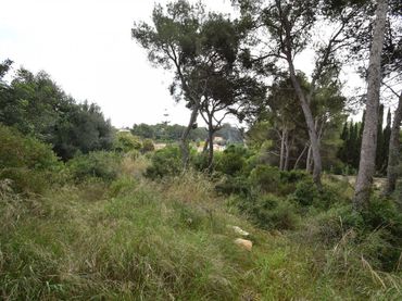 Rustikales Grundstück zum Verkauf in Corral d'en Milà
