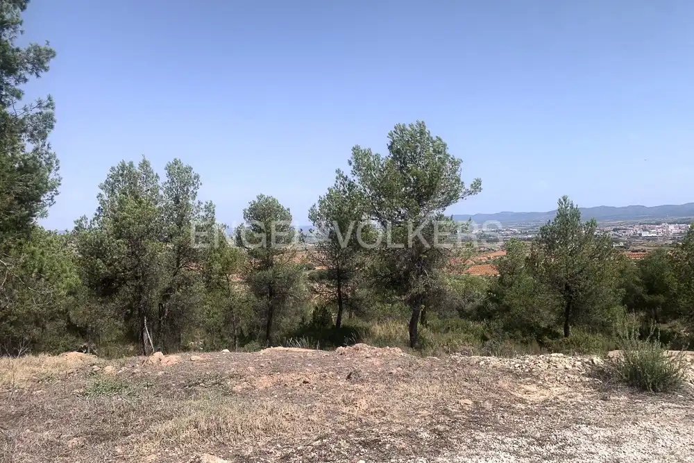 Lands and plots for sale in Requena, imagen 13