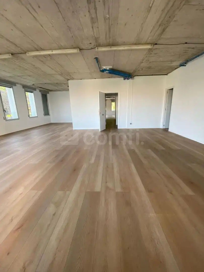 Office for rent in Singuerlín