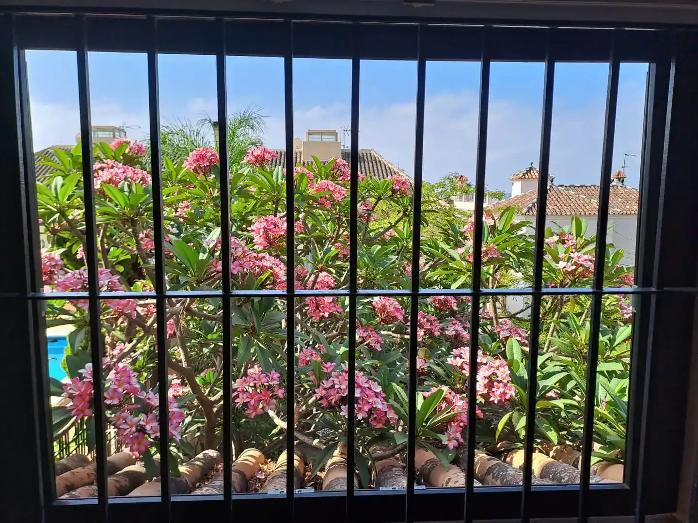 Terrassa de Casa o xalet en venda en Málaga Capital amb Aire condicionat