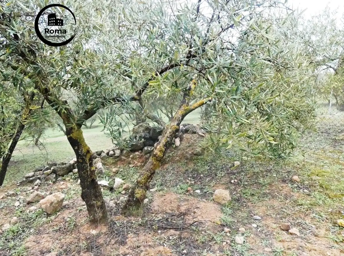 Terrain rustique à vendre à Peligros