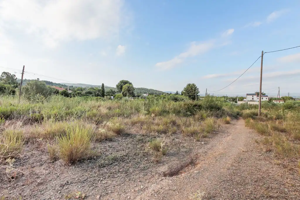 Terrain rustique à vendre à Plan Parcial Masíes Catalanes, imagen 15