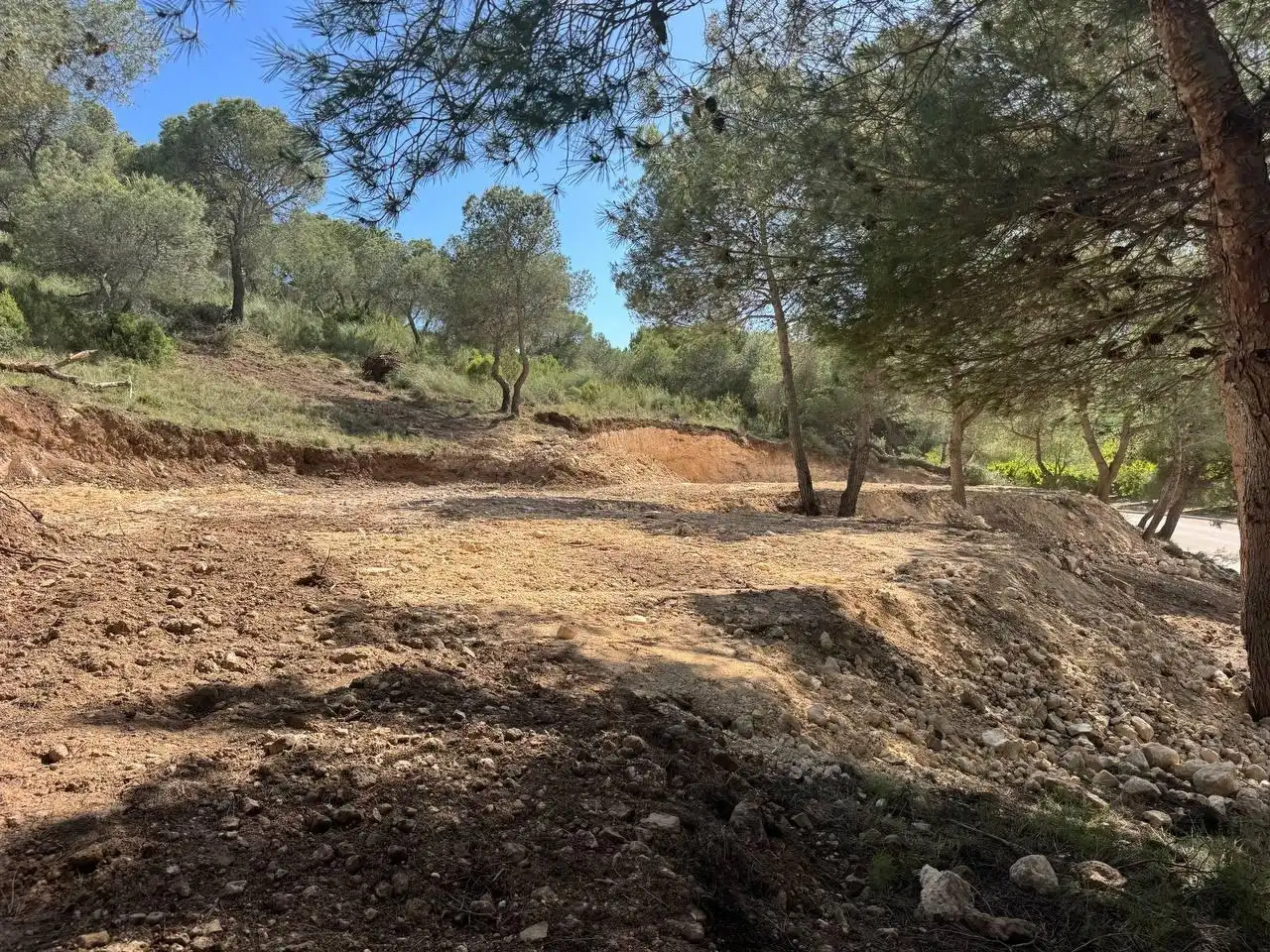 Lands and plots for sale in Calle Calle Salzes, imagen 20