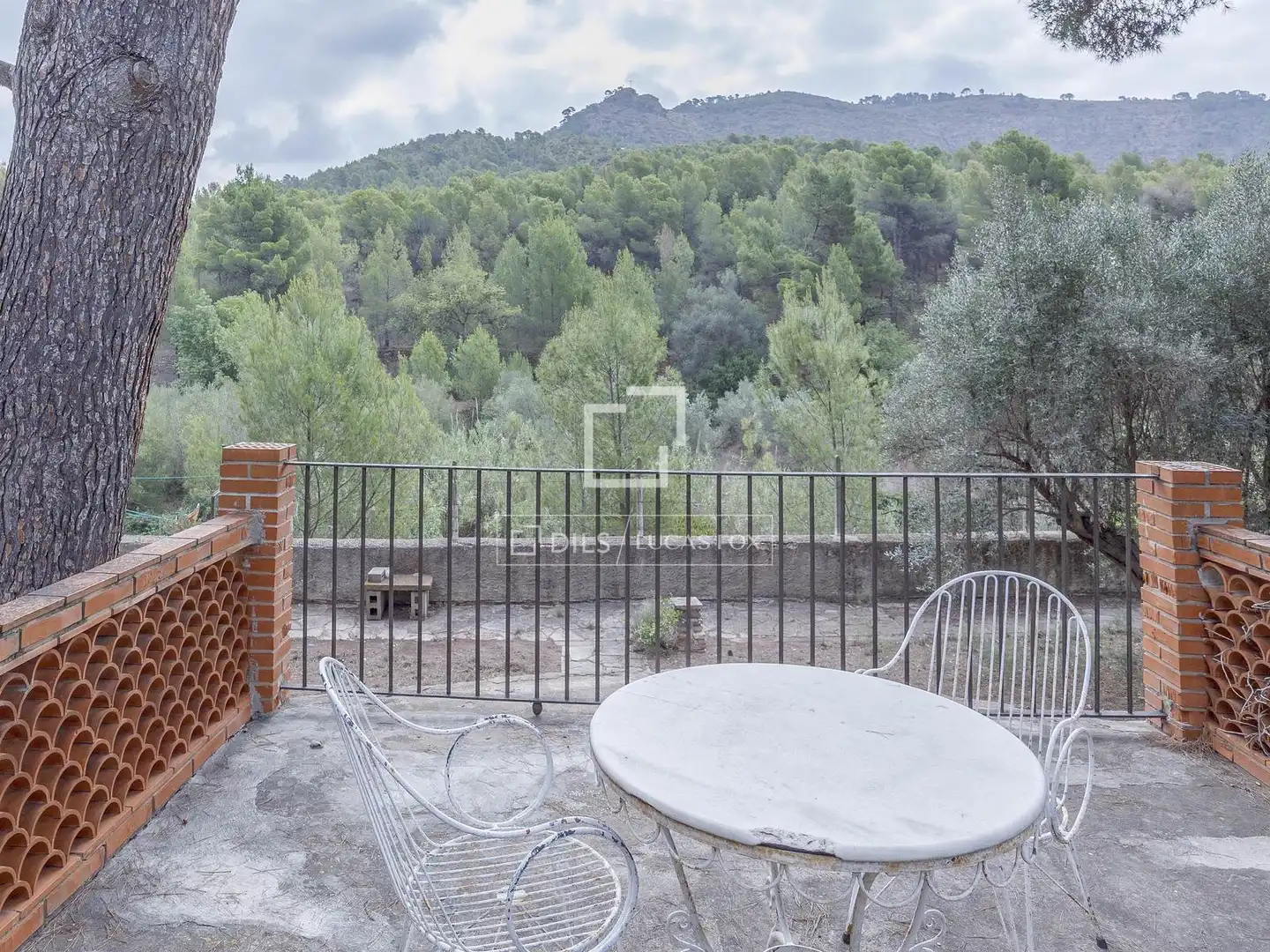 Villa con terrazza in vendita a Monteamor - La Carrasca - El Peucal, imagen 29