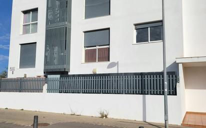 Exterior view of Flat to rent in Conil de la Frontera